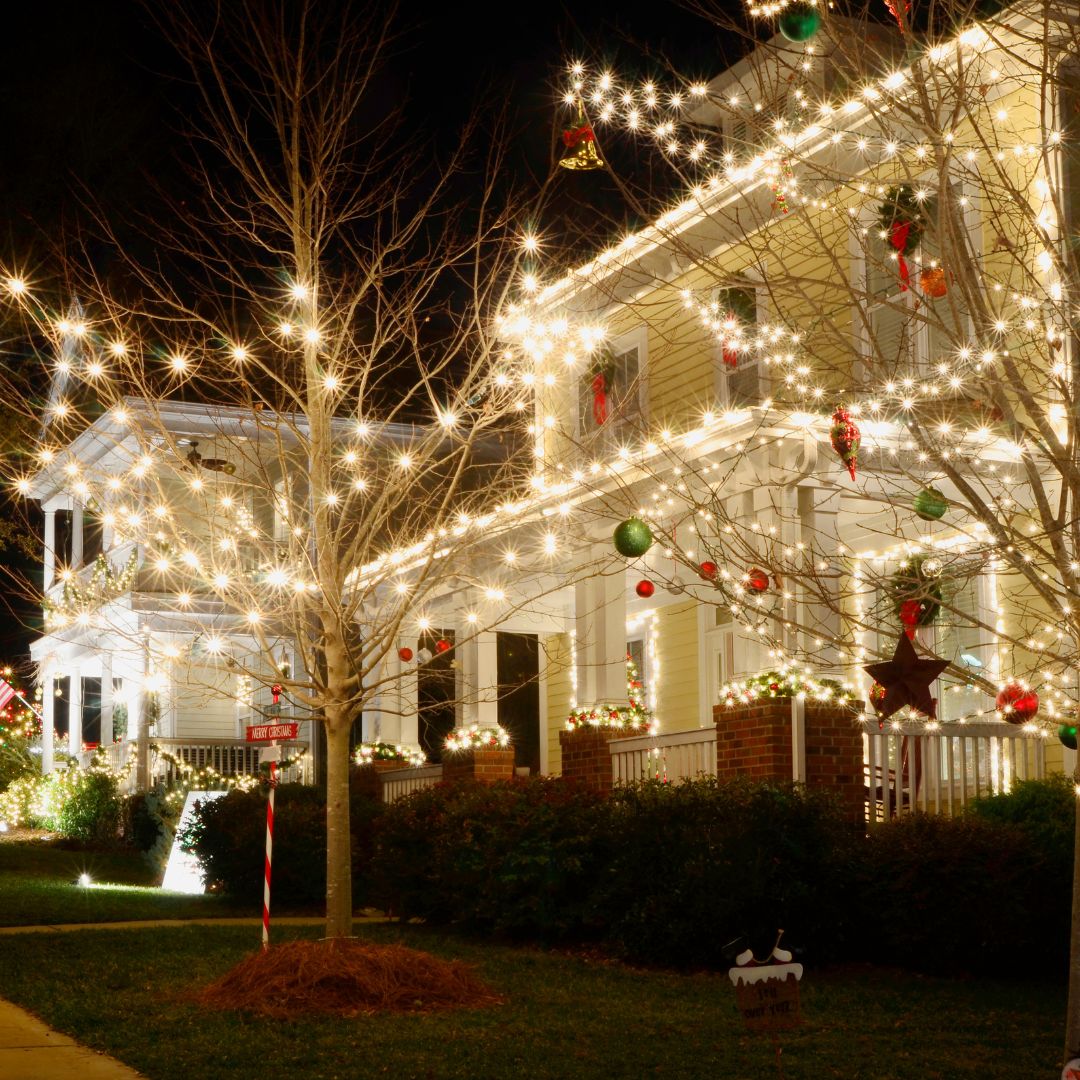 Professional Christmas Light Installation